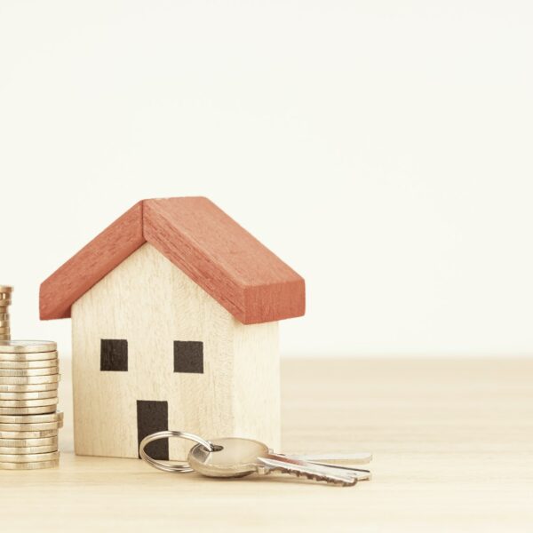 Comment réussir à dompter le marché immobilier ?