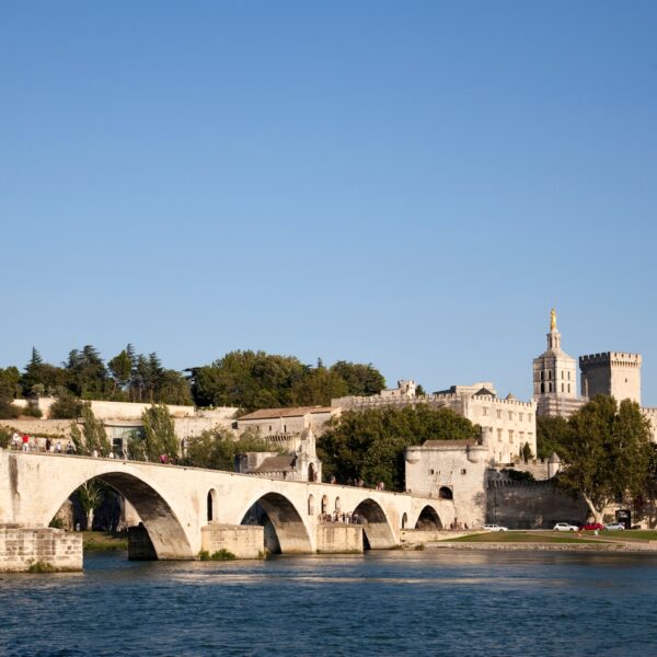 View of Pont d'Avignon on the river Rhone, Avignon, Provence-Alpes-Cote d'Azur, France